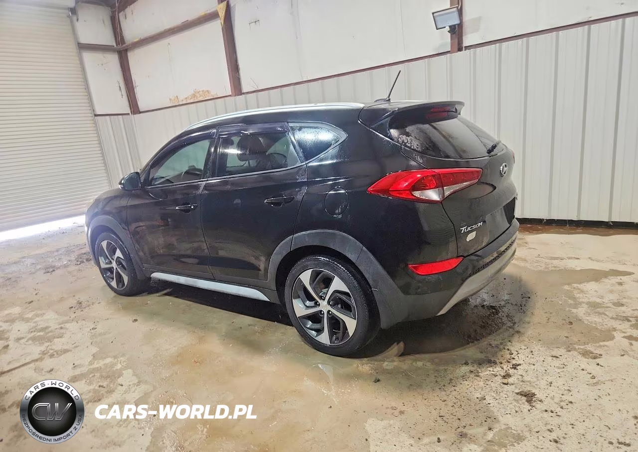 2017 Hyundai Tucson Sport VIN:KM8J3CA29HU382302 - 2