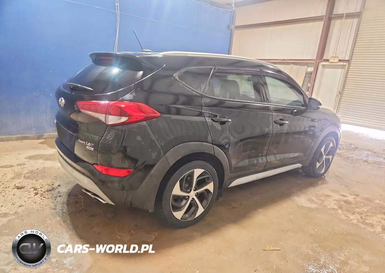 2017 Hyundai Tucson Sport VIN:KM8J3CA29HU382302 - 3