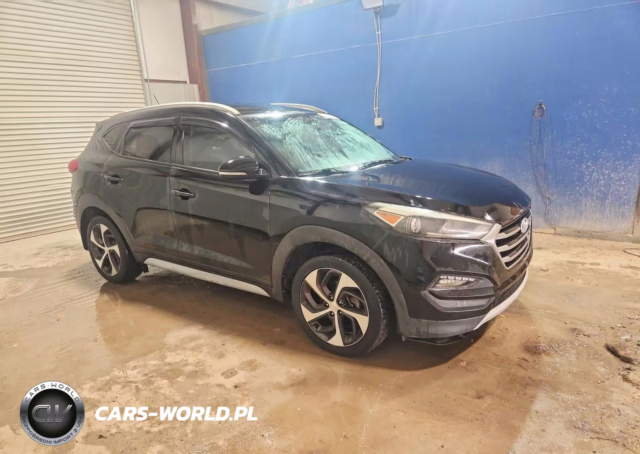 2017 Hyundai Tucson Sport VIN:KM8J3CA29HU382302 - 4