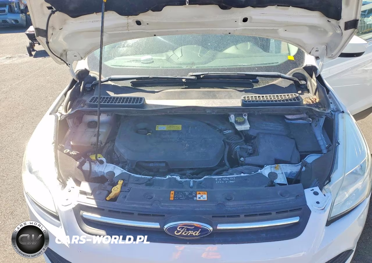 2013 Ford Escape Se VIN:1FMCU0GX6DUC56481 - 11