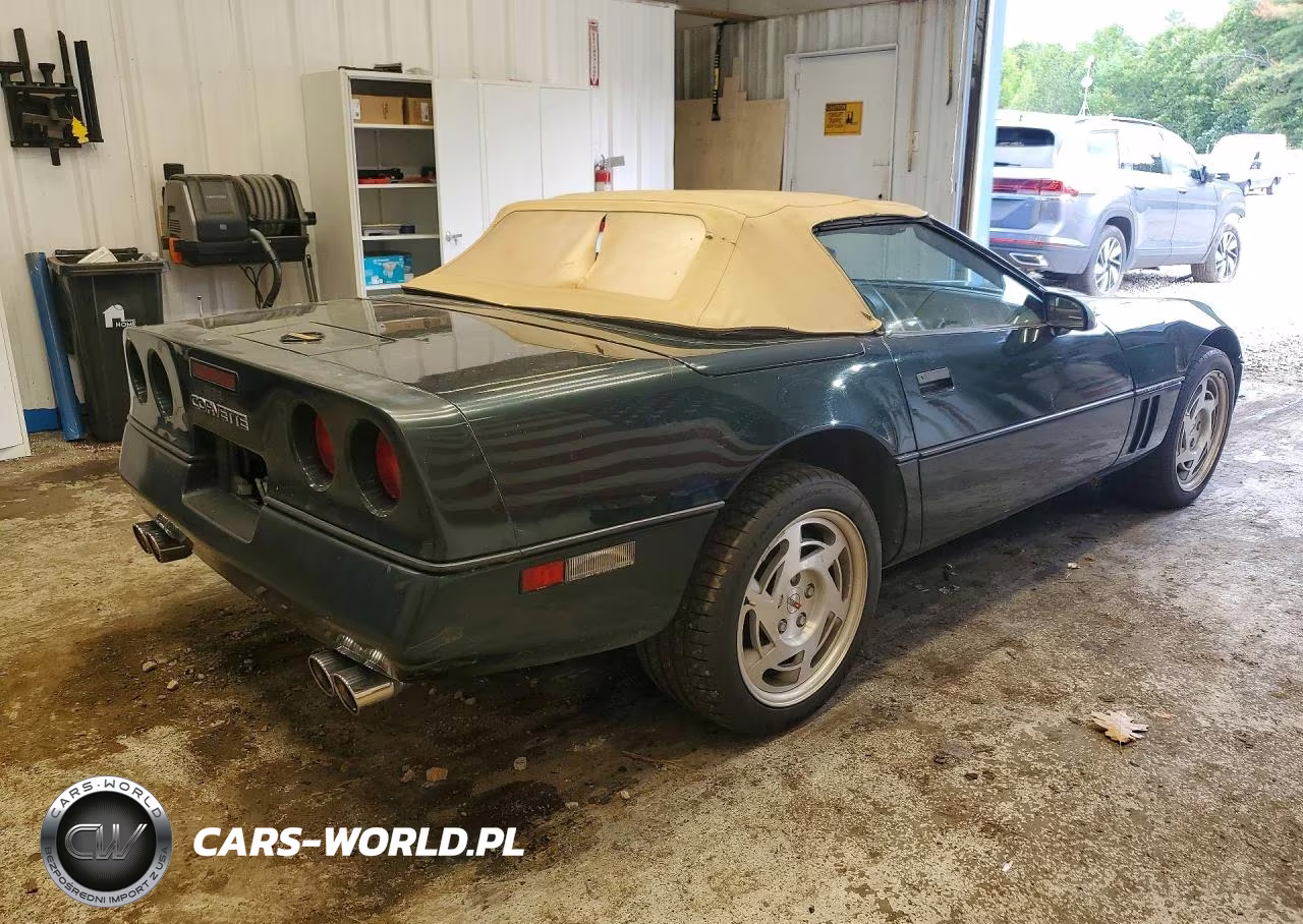 1990 Chevrolet Corvette VIN:1G1YY3381L5101563 - 3