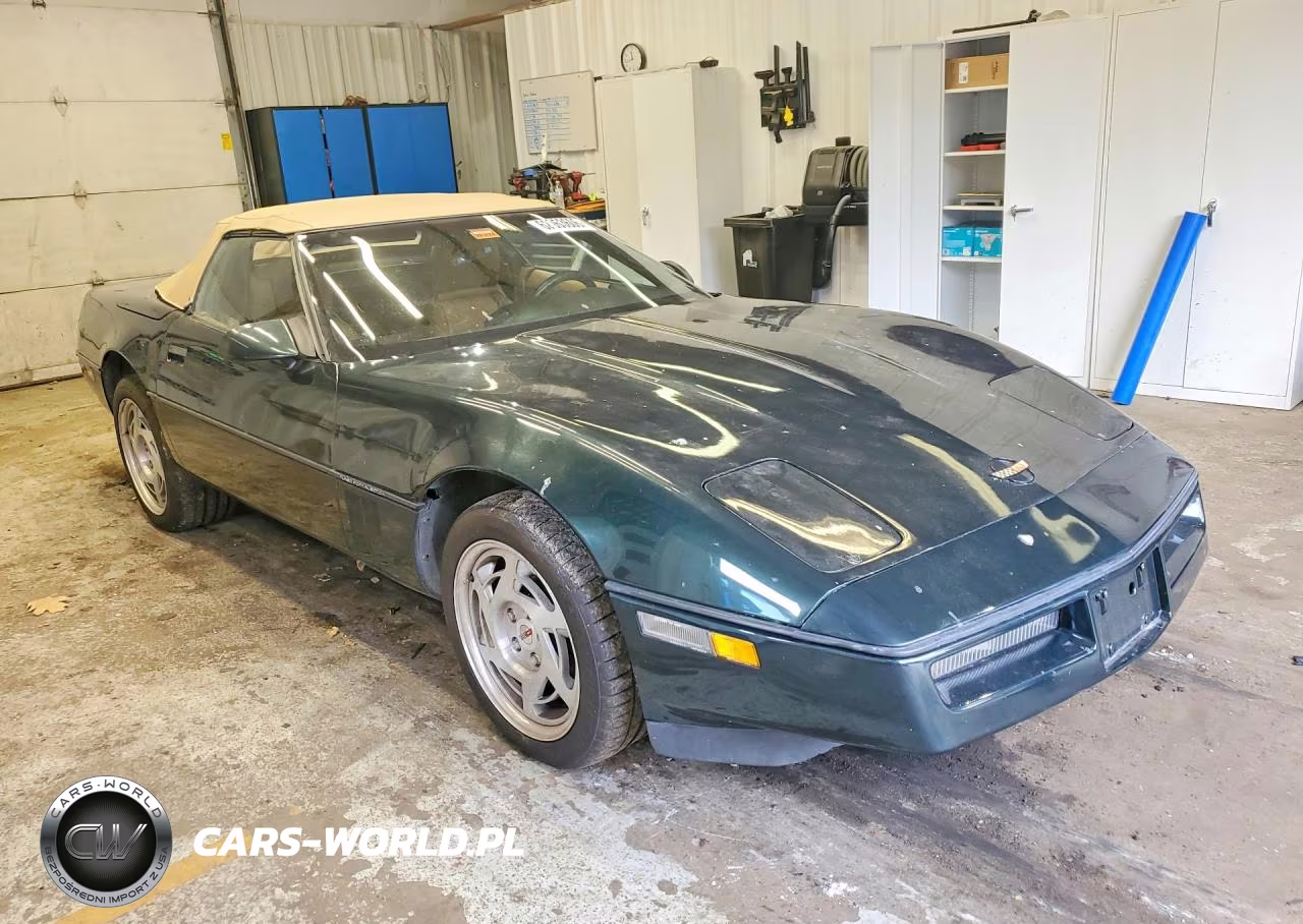 1990 Chevrolet Corvette VIN:1G1YY3381L5101563 - 4