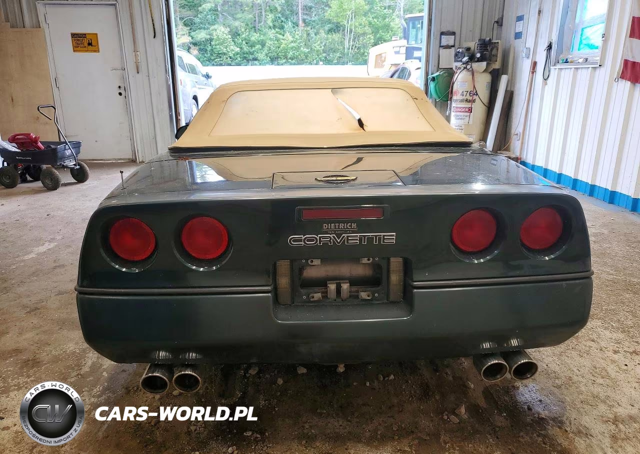 1990 Chevrolet Corvette VIN:1G1YY3381L5101563 - 6