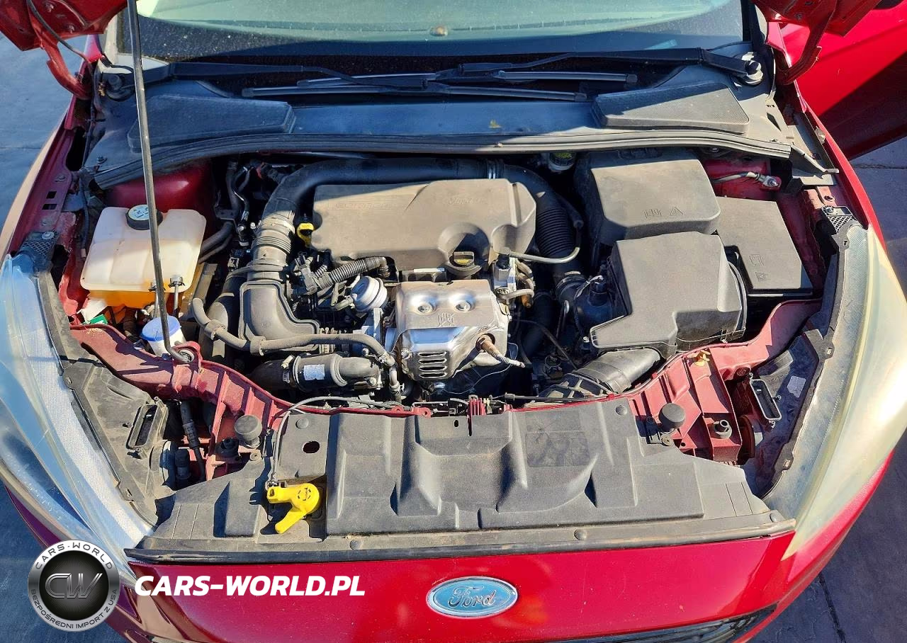 2016 Ford Focus Se VIN:1FADP3FE0GL225096 - 11