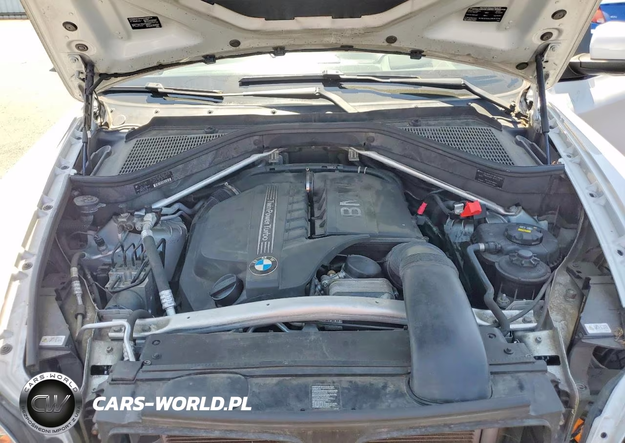 2013 BMW X6 xDrive35I VIN:5UXFG2C54DL786204 - 12