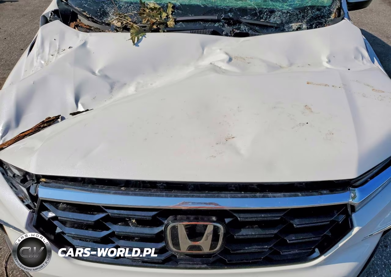 2025 Honda Pilot Touring VIN:5FNYG2H79SB039881 - 12