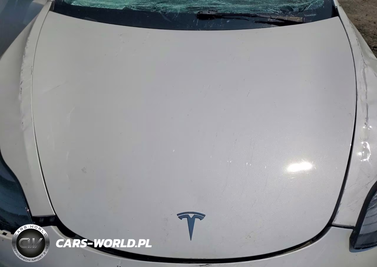 2023 Tesla Model 3 VIN:5YJ3E1EA0PF395606 - 11