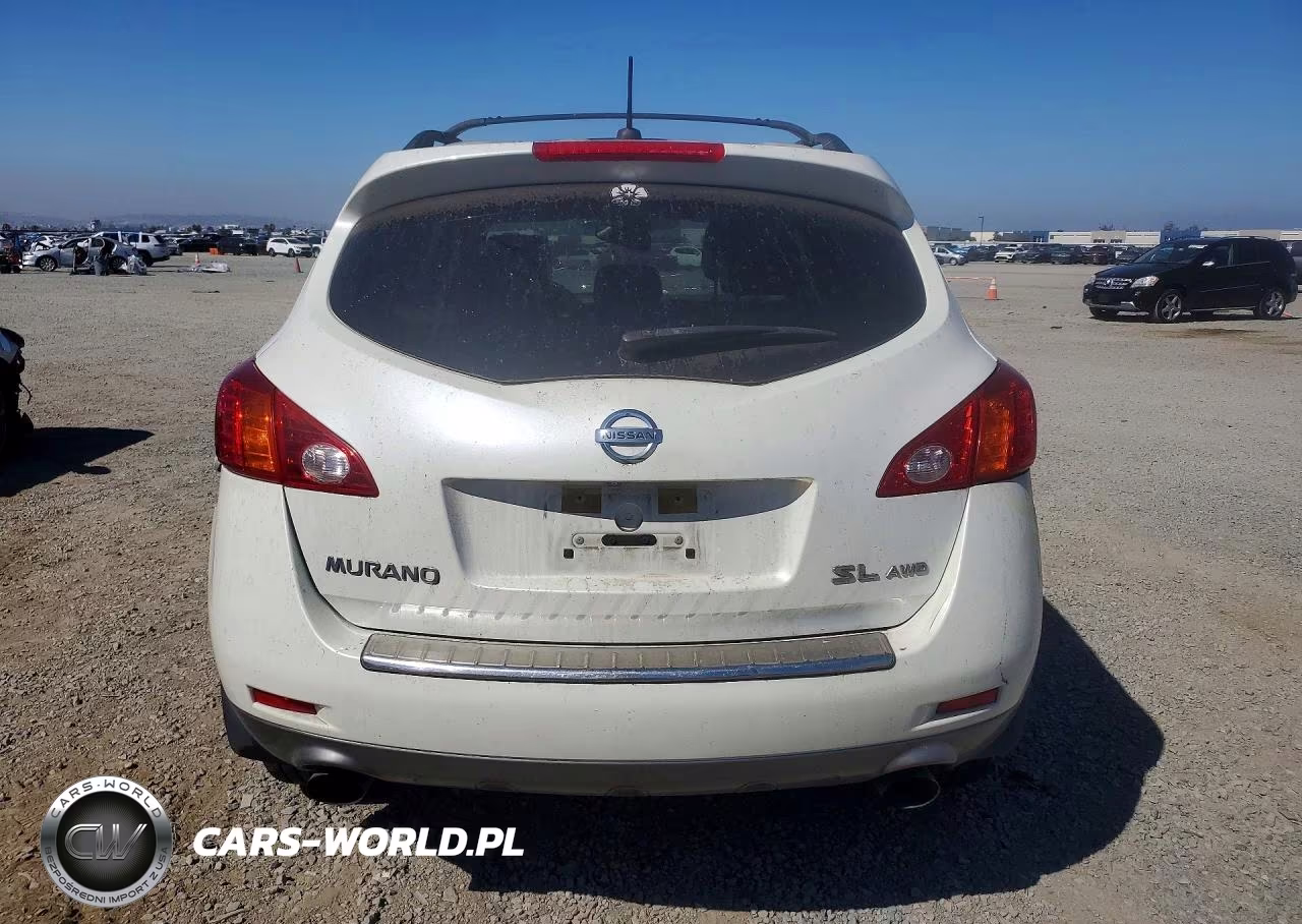 2010 Nissan Murano S VIN:JN8AZ1MWXAW100169 - 6