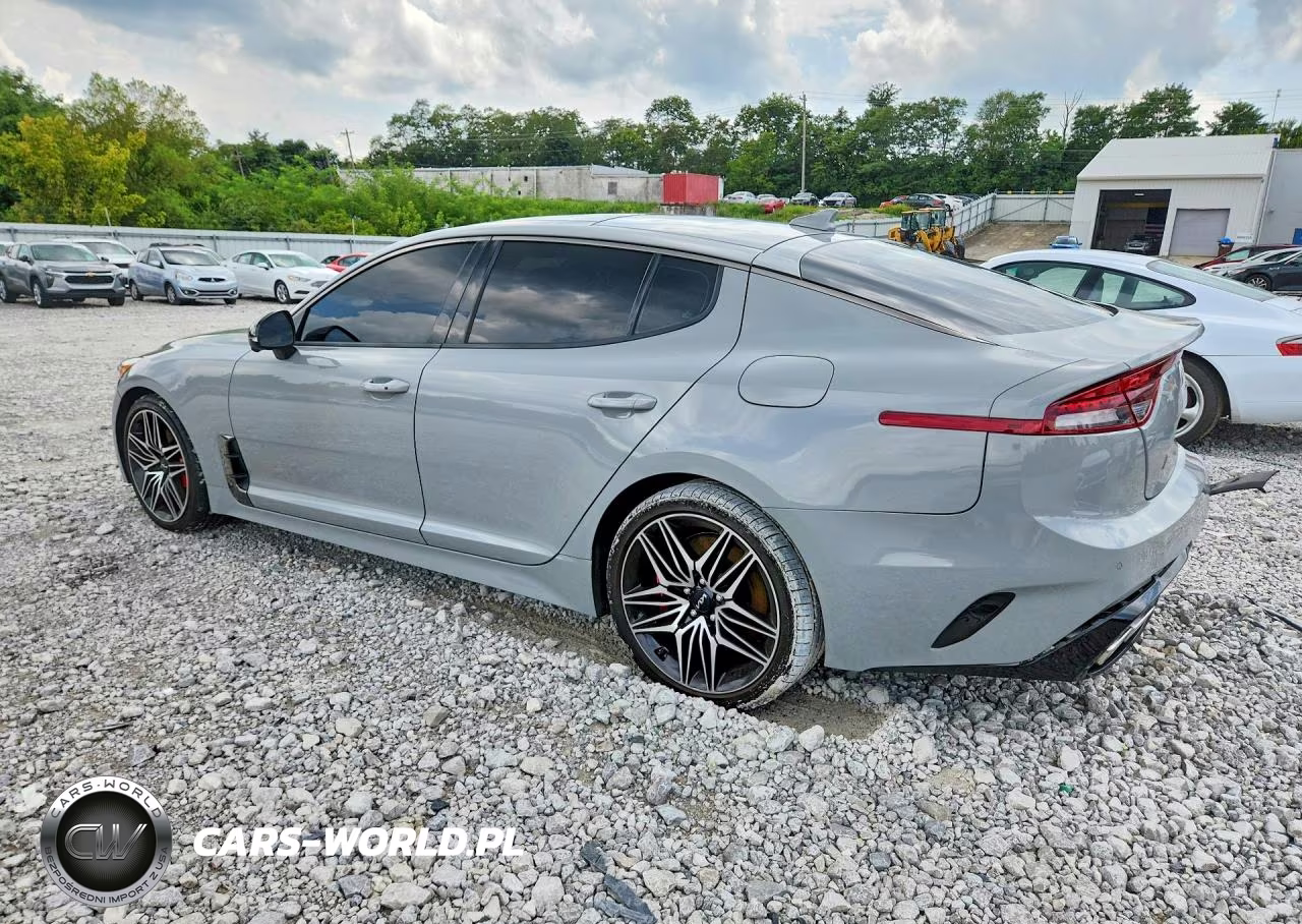 2023 Kia Stinger Gt2 VIN:KNAE55LC6P6127446 - 2
