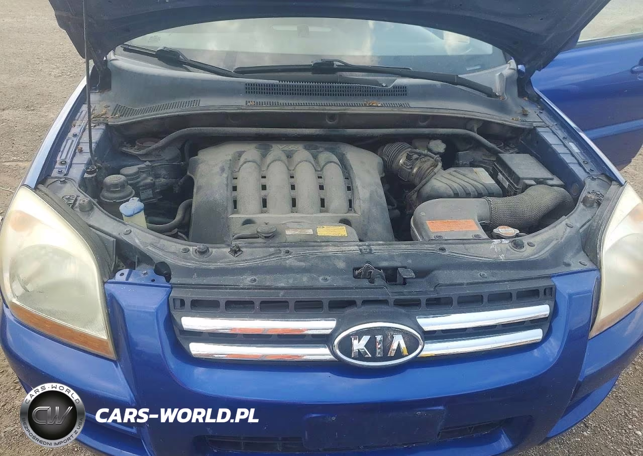 2007 Kia Sportage Lx VIN:KNDJF723177440992 - 12