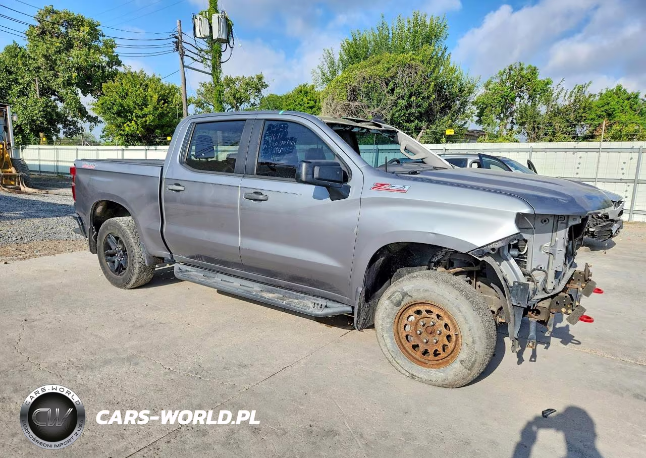 2020 Chevrolet Silverado K1500 Trail Boss Custom VIN:3GCPYCEF0LG206540 - 4