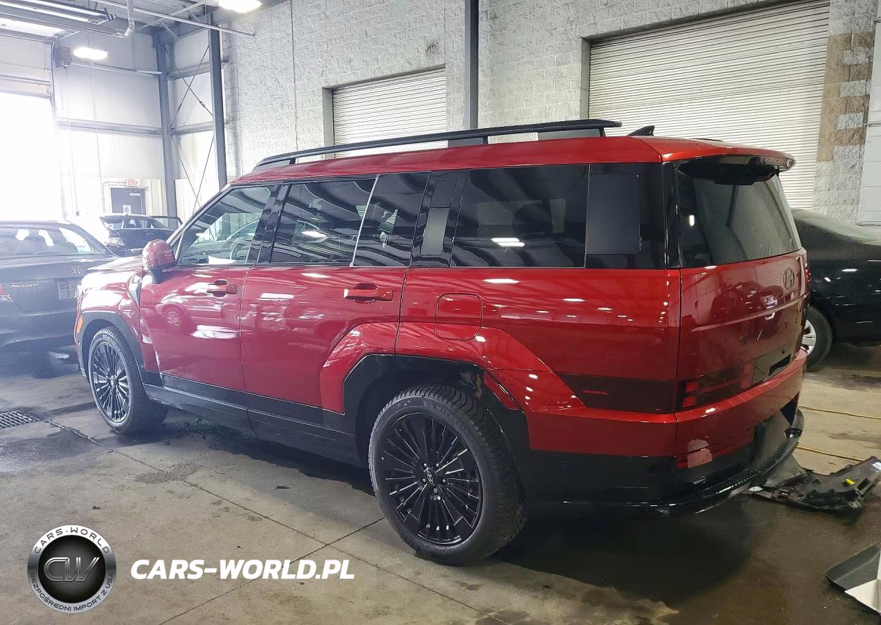 2025 Hyundai Santa Fe Calligraphy VIN:5NMP5DG15SH043208 - 2