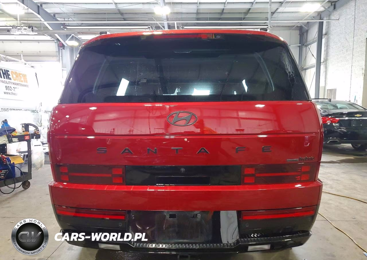 2025 Hyundai Santa Fe Calligraphy VIN:5NMP5DG15SH043208 - 6