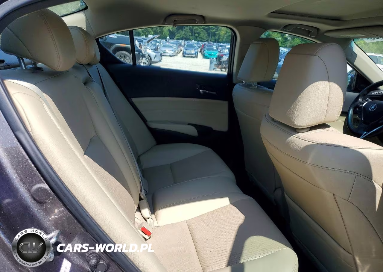 2013 Acura Ilx 20 Premium VIN:19VDE1F59DE022354 - 10