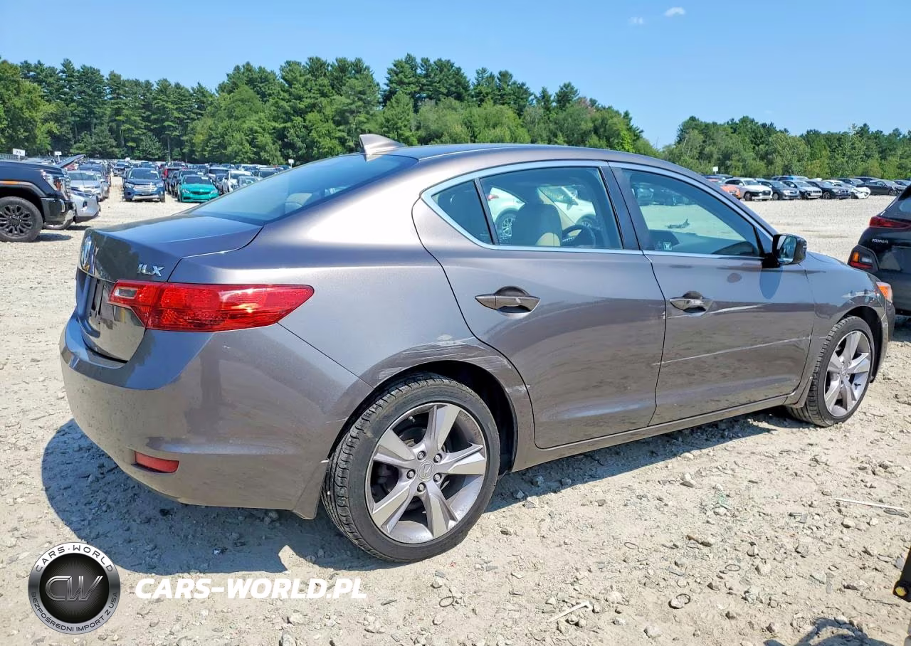 2013 Acura Ilx 20 Premium VIN:19VDE1F59DE022354 - 3