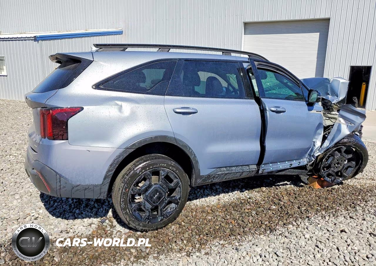 2024 Kia Sorento X-Line Ex VIN:5XYRHDJF1RG305802 - 3