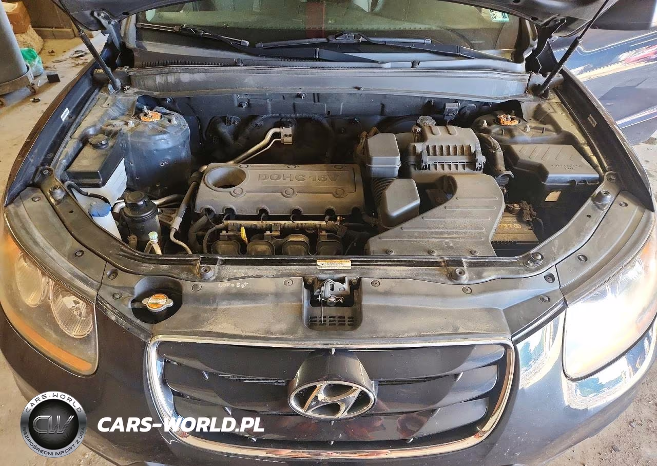 2010 Hyundai Santa Fe Gls VIN:5NMSGDAB4AH412886 - 12