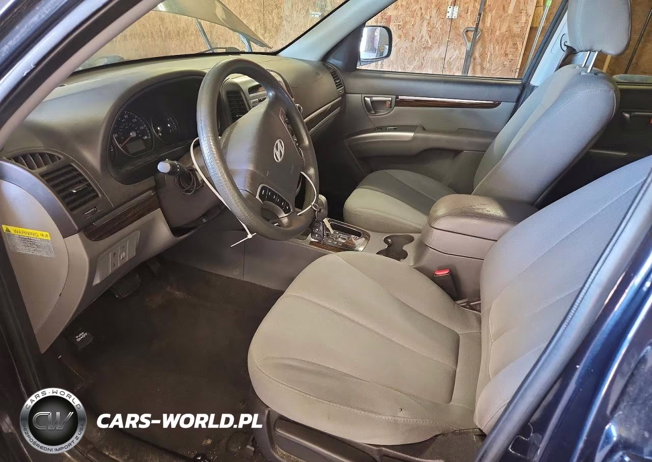 2010 Hyundai Santa Fe Gls VIN:5NMSGDAB4AH412886 - 7
