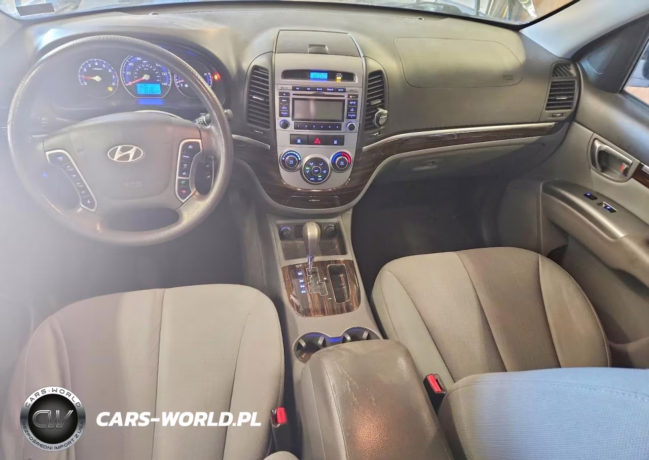 2010 Hyundai Santa Fe Gls VIN:5NMSGDAB4AH412886 - 8