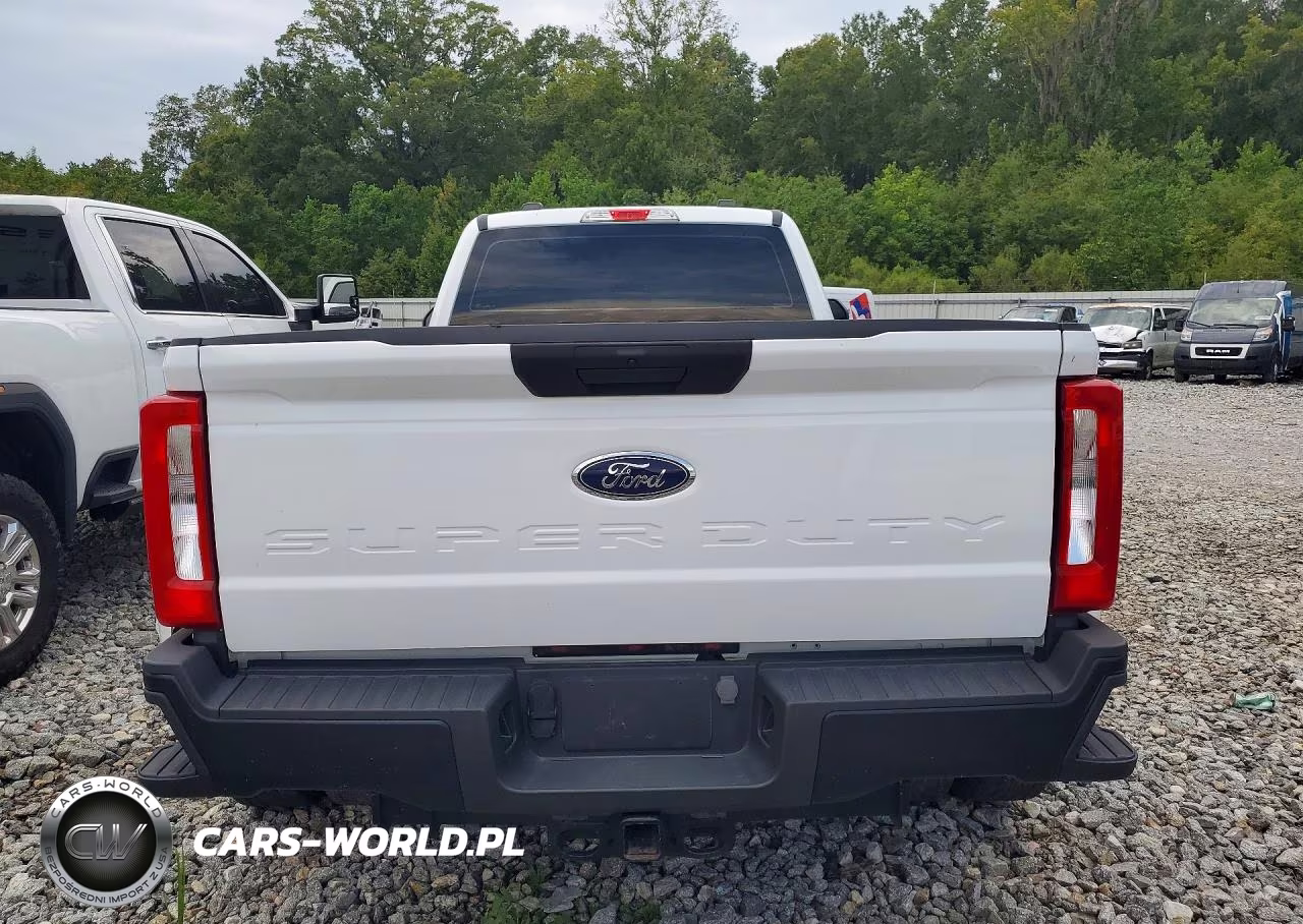 2024 Ford F350 Super Duty VIN:1FT8W3DTXREE03443 - 6
