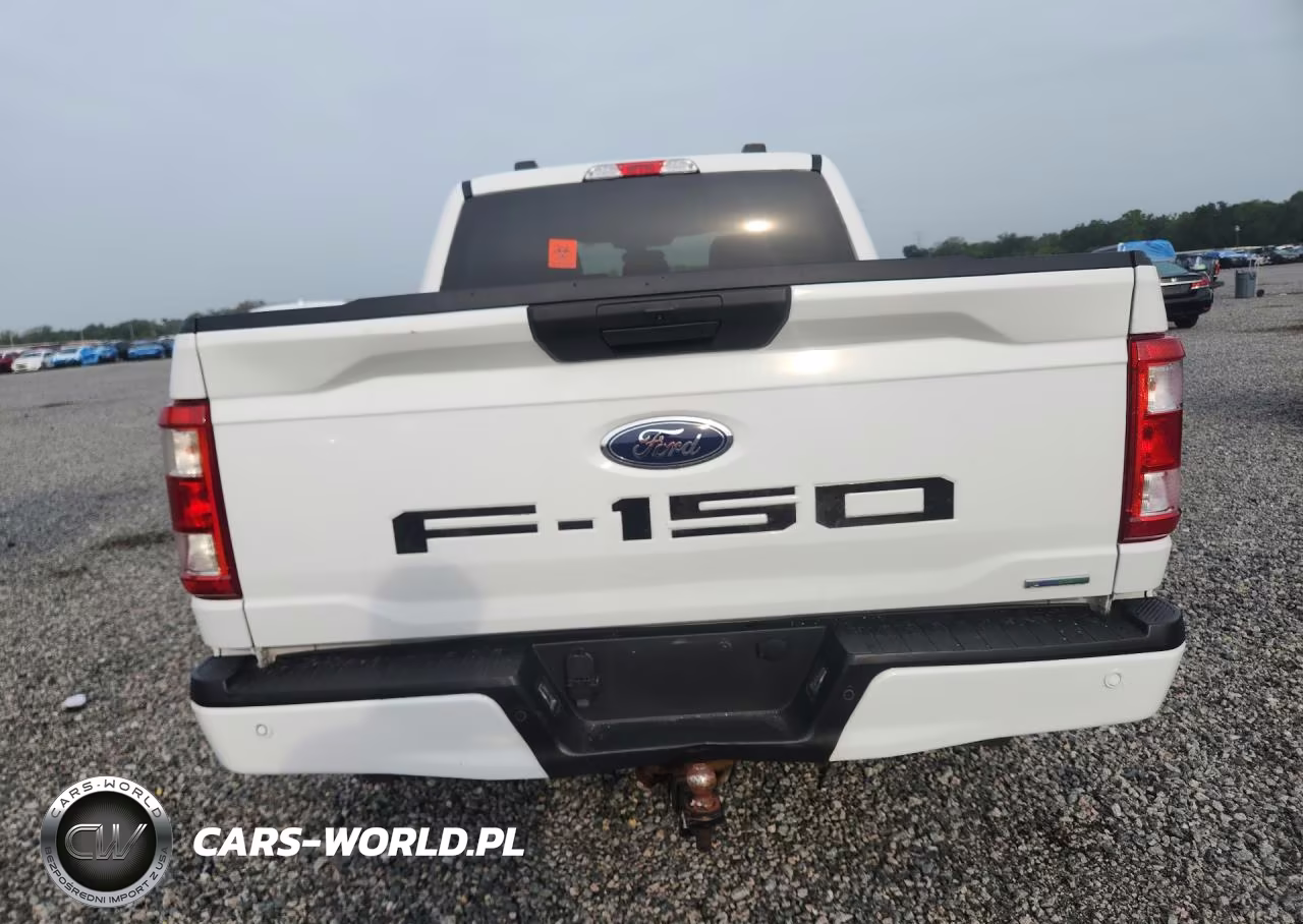 2021 Ford F150 Supercrew VIN:1FTEW1CP4MFA36554 - 6