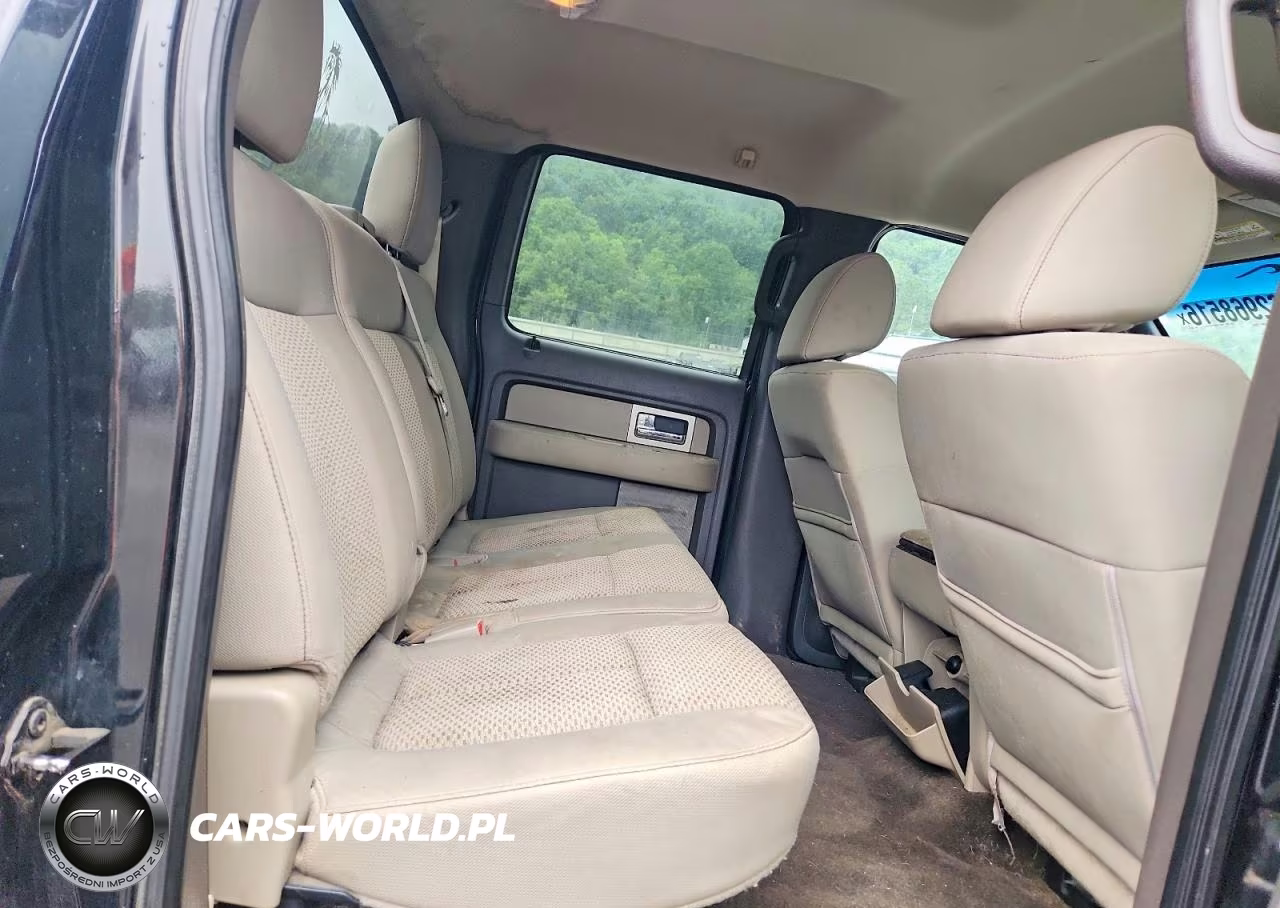 2010 Ford F150 Supercrew VIN:1FTFW1EV7AFD67933 - 10