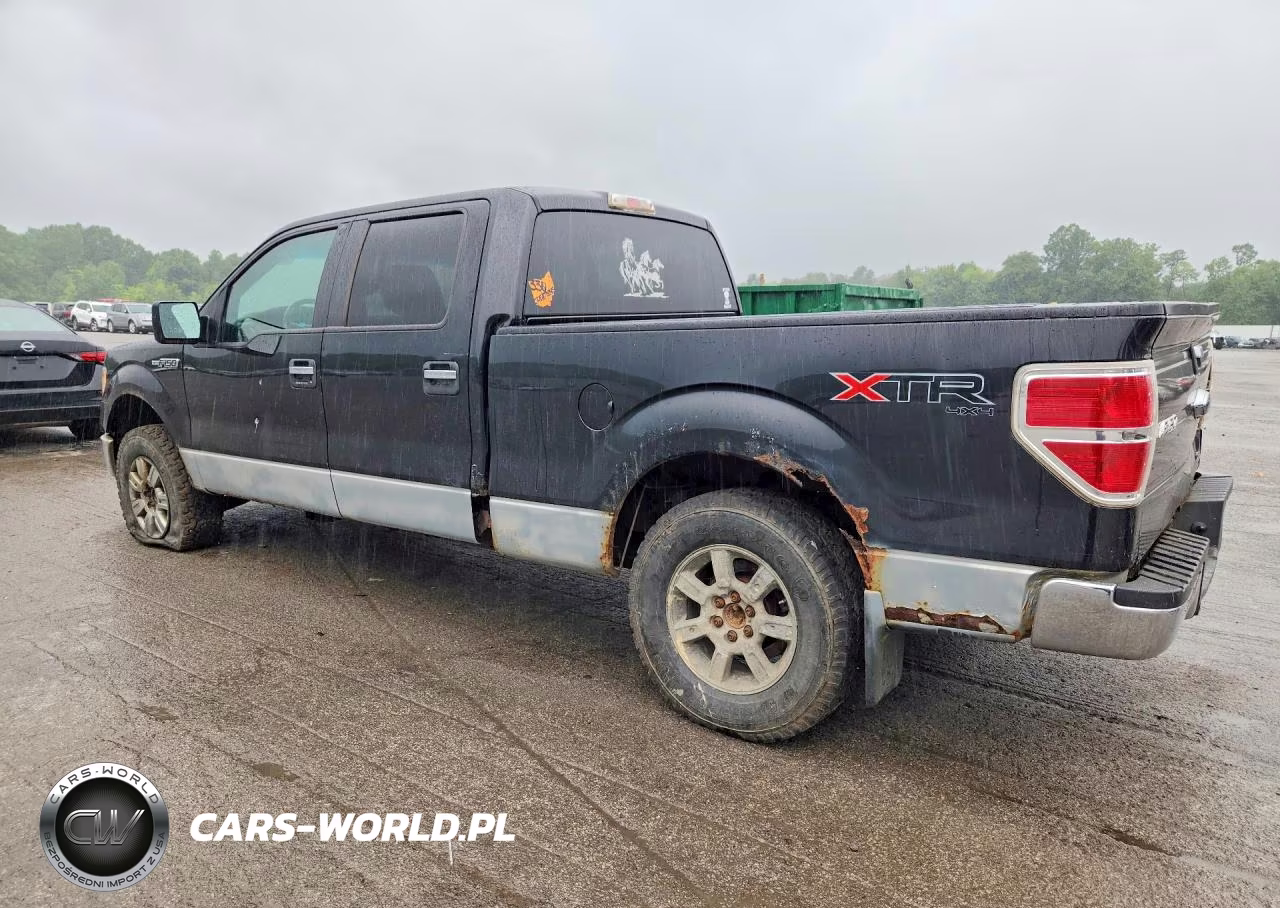 2010 Ford F150 Supercrew VIN:1FTFW1EV7AFD67933 - 2