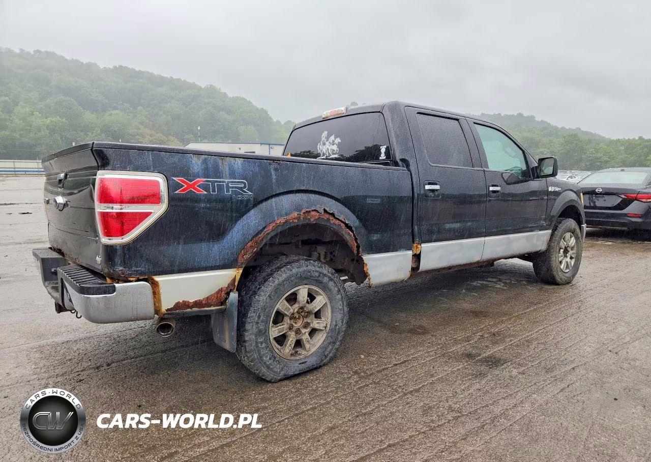 2010 Ford F150 Supercrew VIN:1FTFW1EV7AFD67933 - 3