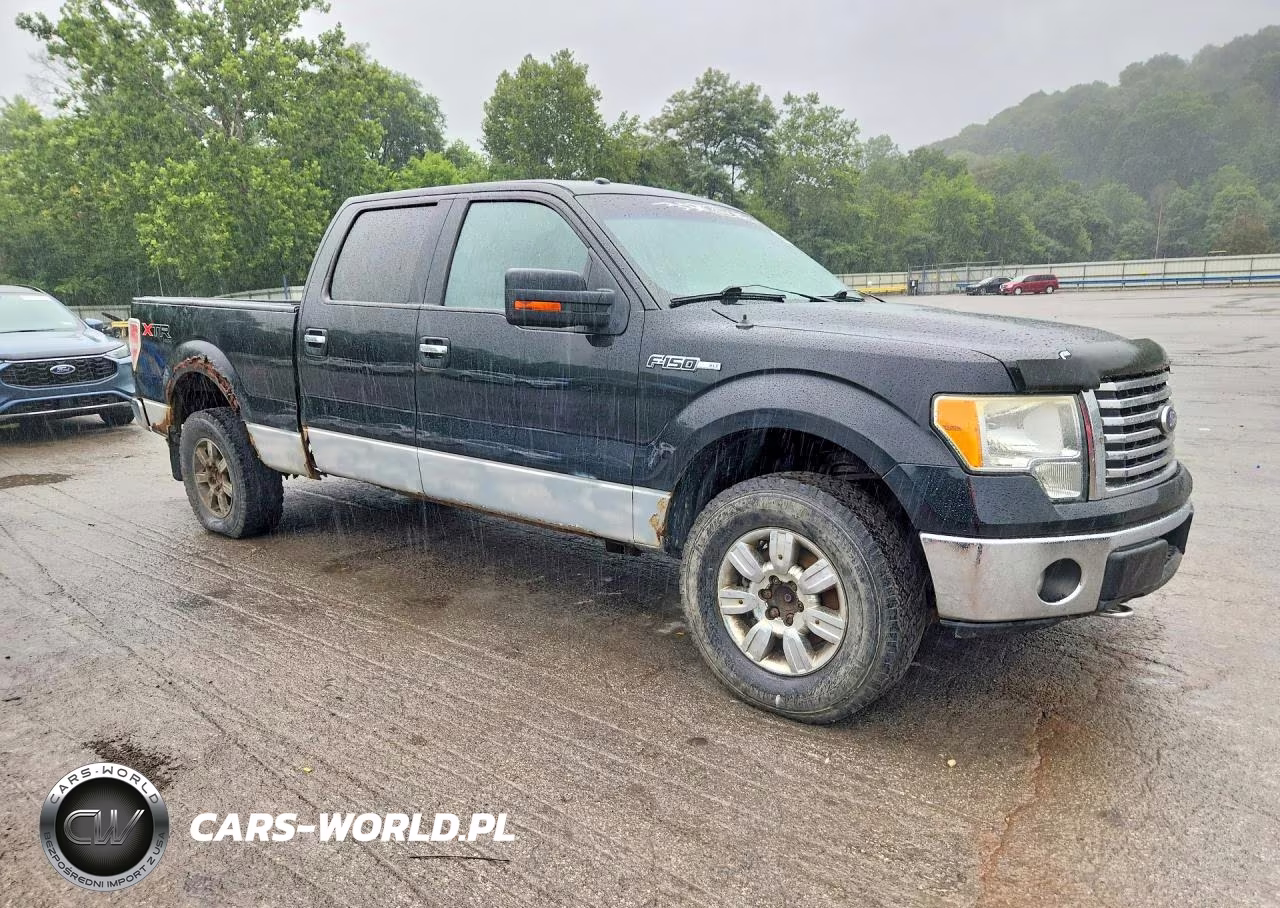 2010 Ford F150 Supercrew VIN:1FTFW1EV7AFD67933 - 4