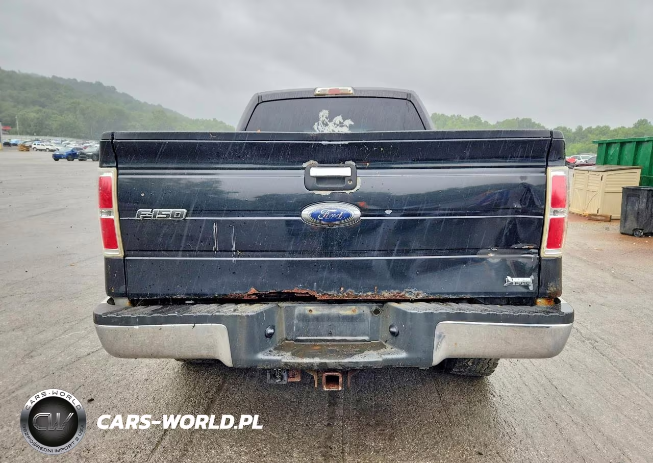 2010 Ford F150 Supercrew VIN:1FTFW1EV7AFD67933 - 6