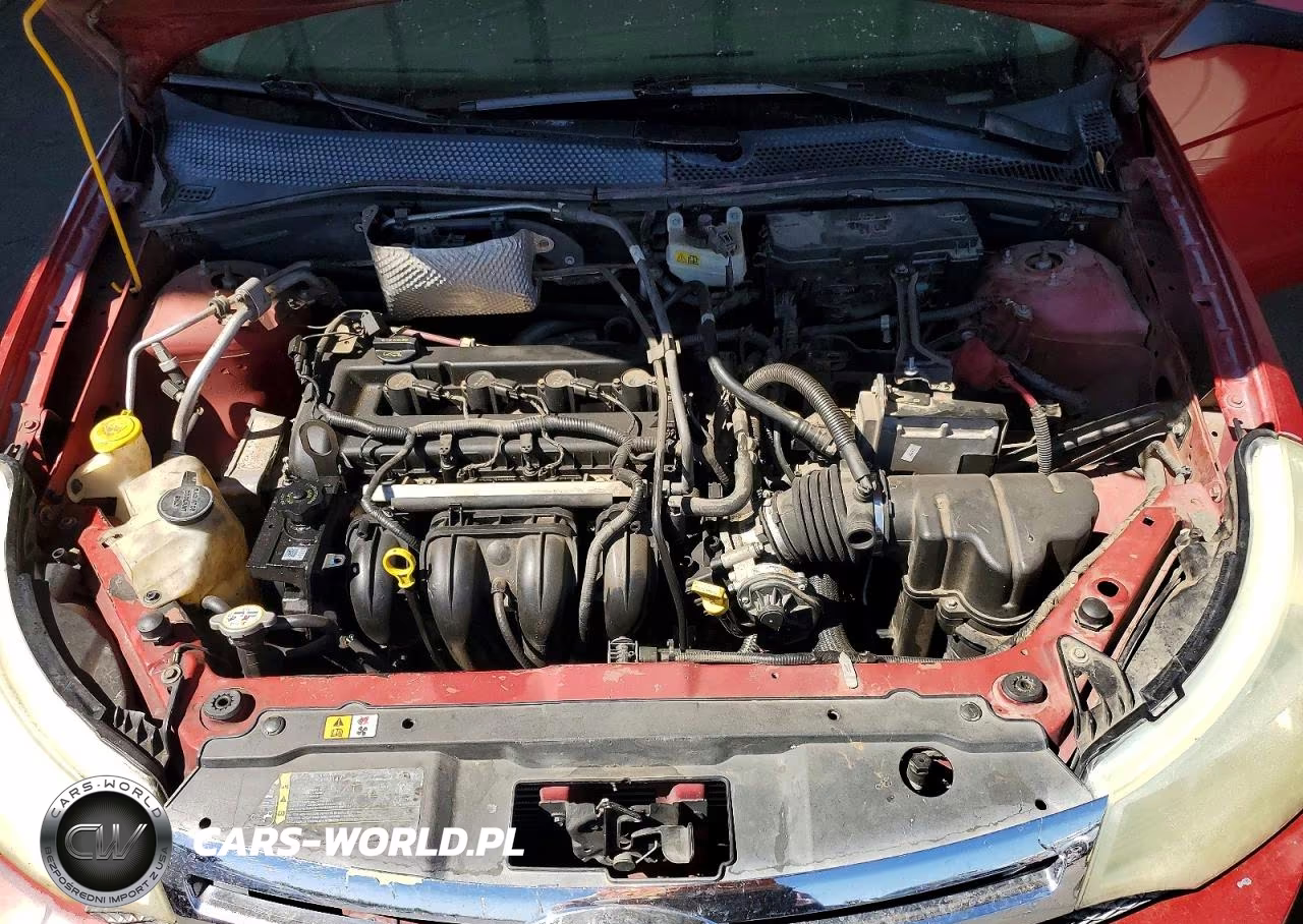 2009 Ford Focus Ses VIN:1FAHP36N99W210647 - 11