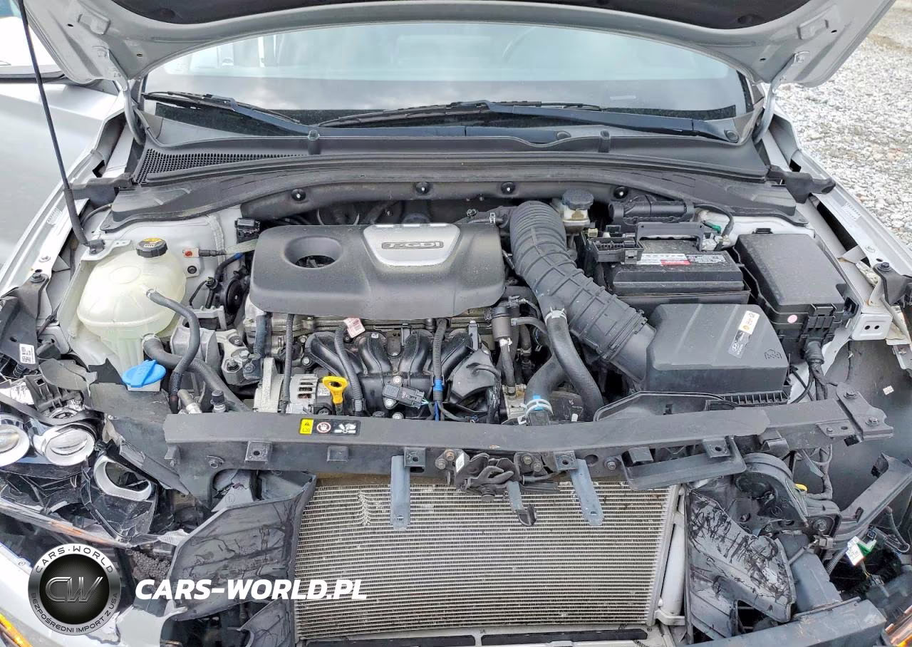 2018 Hyundai Elantra Gt Sport VIN:KMHH55LC7JU071449 - 12
