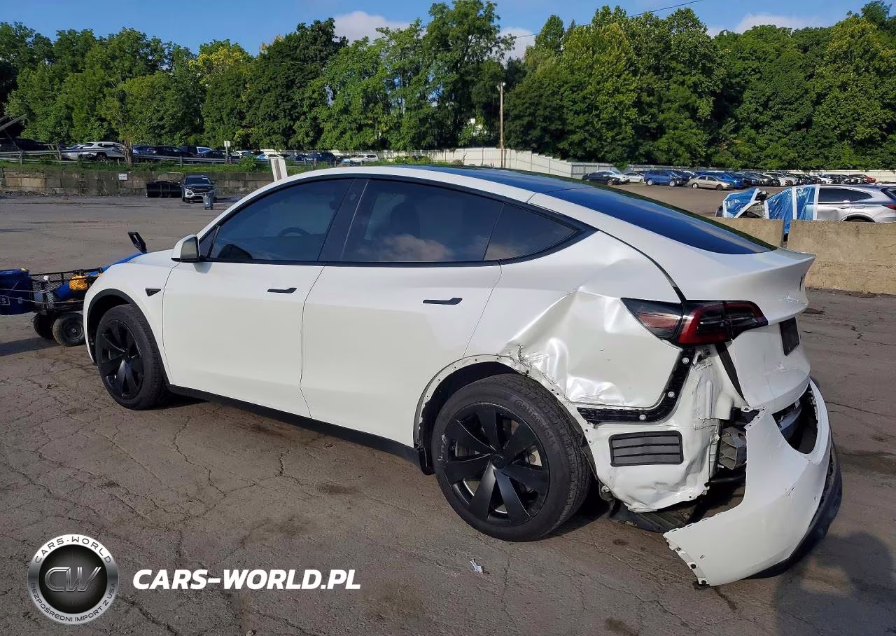 2021 Tesla Model Y VIN:5YJYGDEE3MF265111 - 2