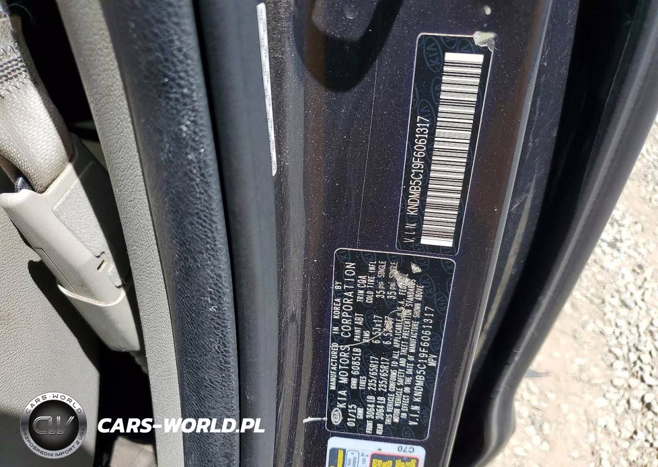 2015 Kia Sedona Lx VIN:KNDMB5C19F6061317 - 13