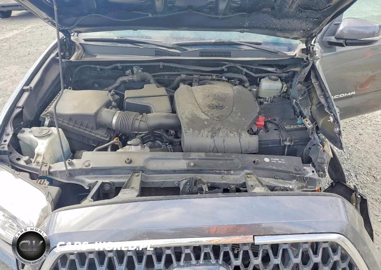 2019 Toyota Tacoma Trd Off-Road VIN:3TMDZ5BN5KM075273 - 11