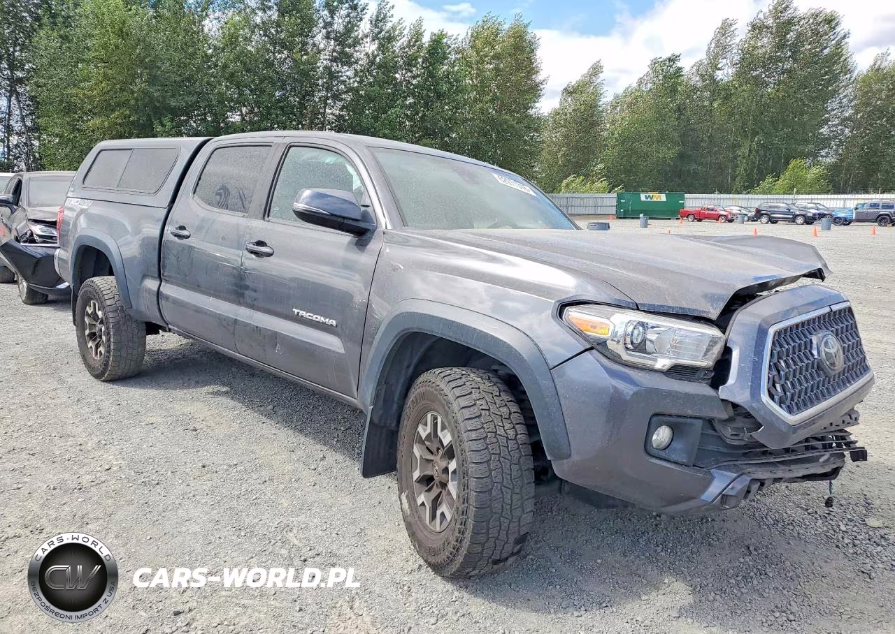 2019 Toyota Tacoma Trd Off-Road VIN:3TMDZ5BN5KM075273 - 4