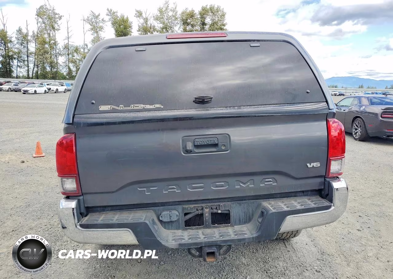 2019 Toyota Tacoma Trd Off-Road VIN:3TMDZ5BN5KM075273 - 6