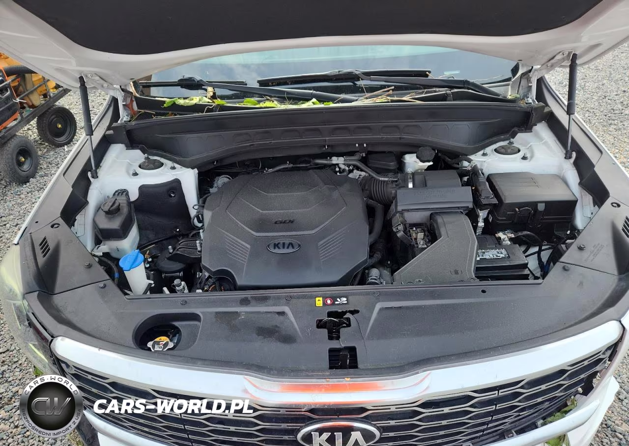 2020 Kia Telluride Ex VIN:5XYP34HCXLG052228 - 12