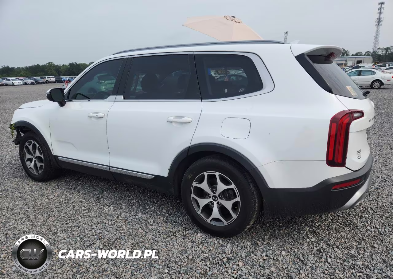 2020 Kia Telluride Ex VIN:5XYP34HCXLG052228 - 2
