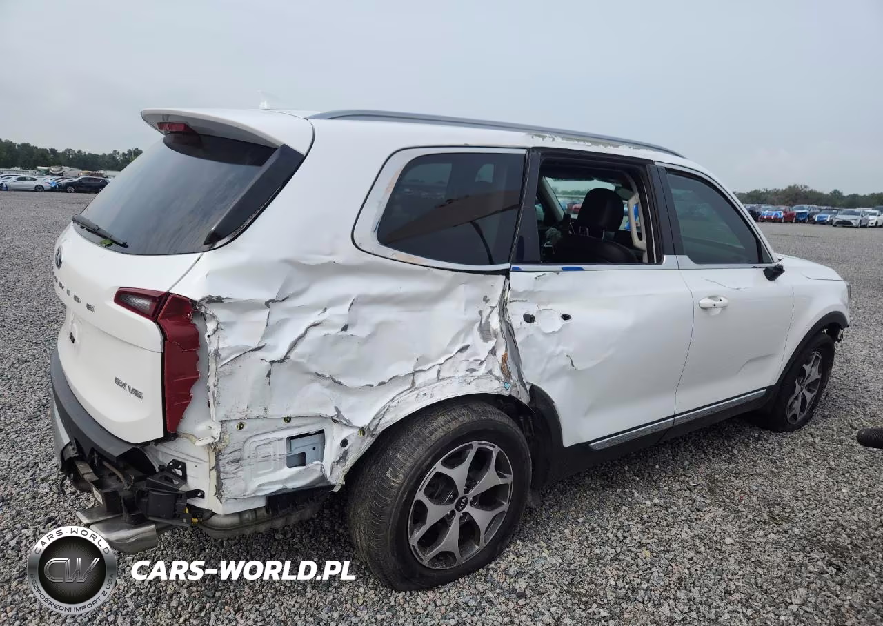 2020 Kia Telluride Ex VIN:5XYP34HCXLG052228 - 3