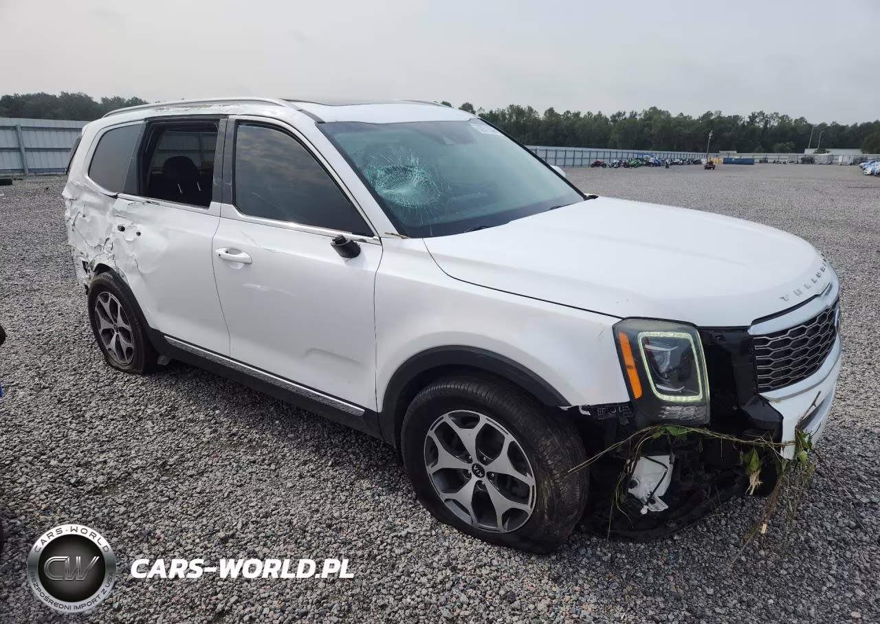 2020 Kia Telluride Ex VIN:5XYP34HCXLG052228 - 4