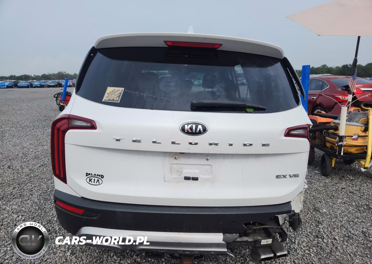 2020 Kia Telluride Ex VIN:5XYP34HCXLG052228 - 6