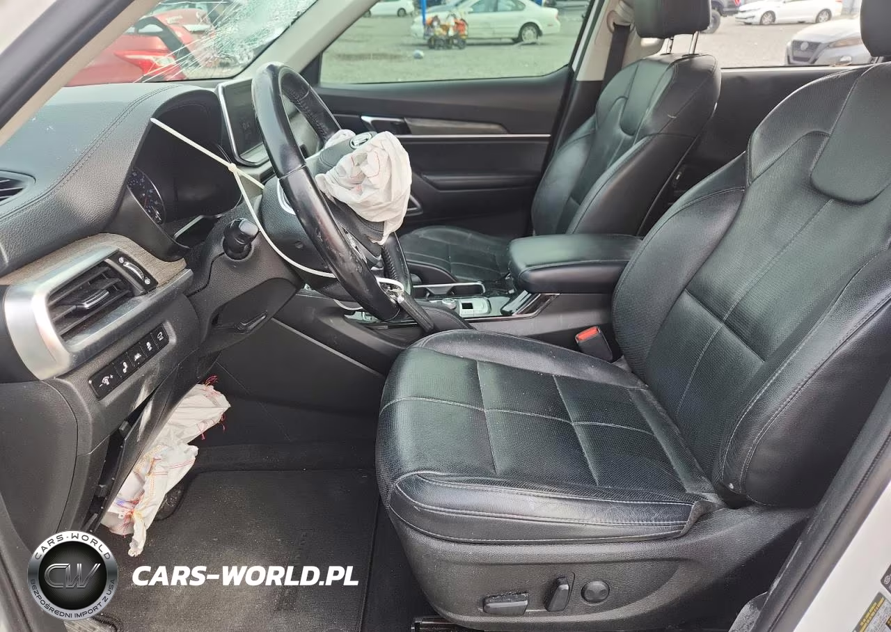 2020 Kia Telluride Ex VIN:5XYP34HCXLG052228 - 7