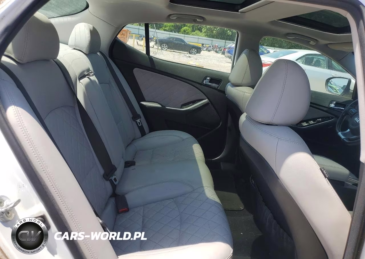 2015 Kia Optima Sx VIN:5XXGR4A67FG423096 - 10