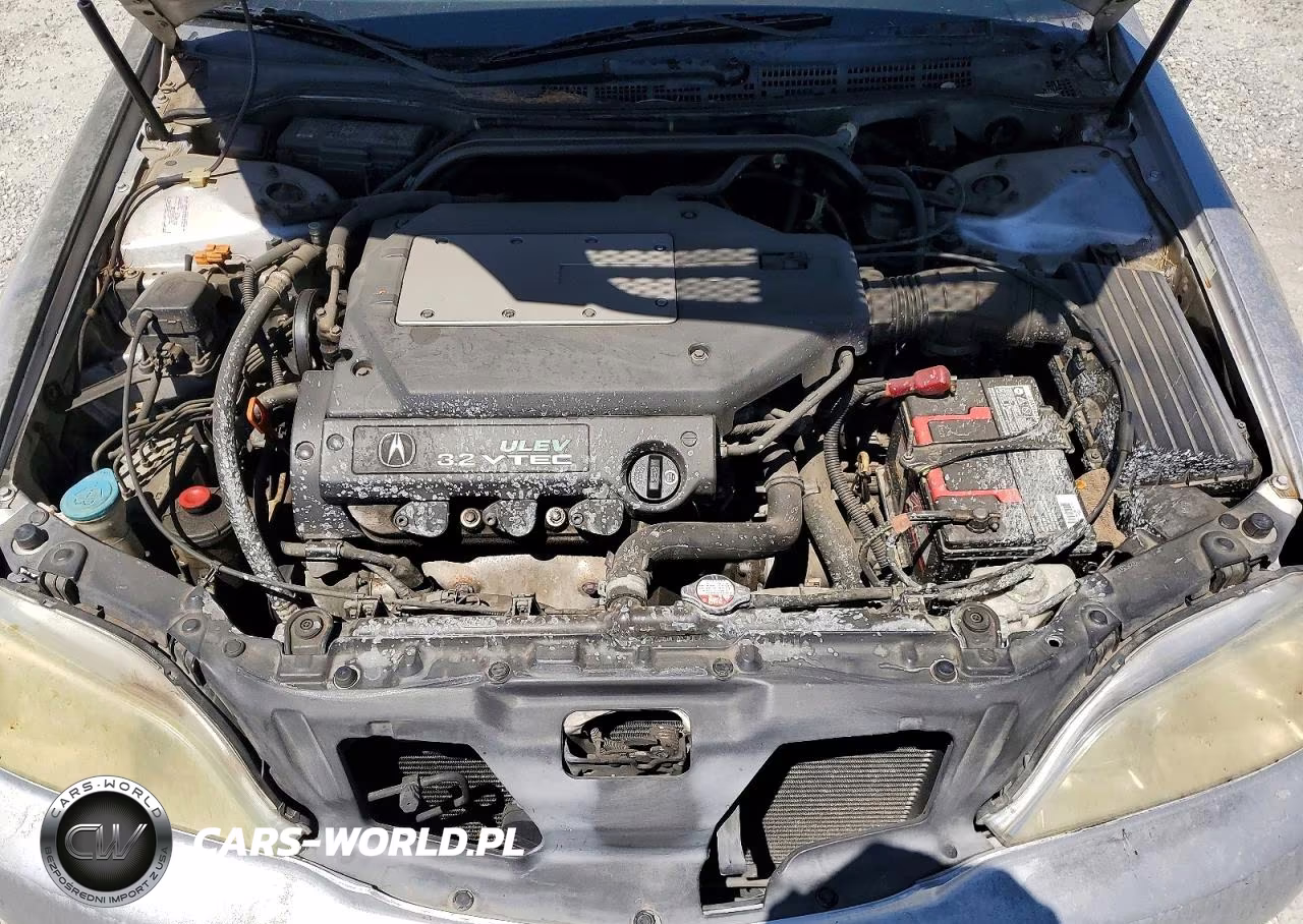 2000 Acura 3.2Tl VIN:19UUA5667YA022365 - 11