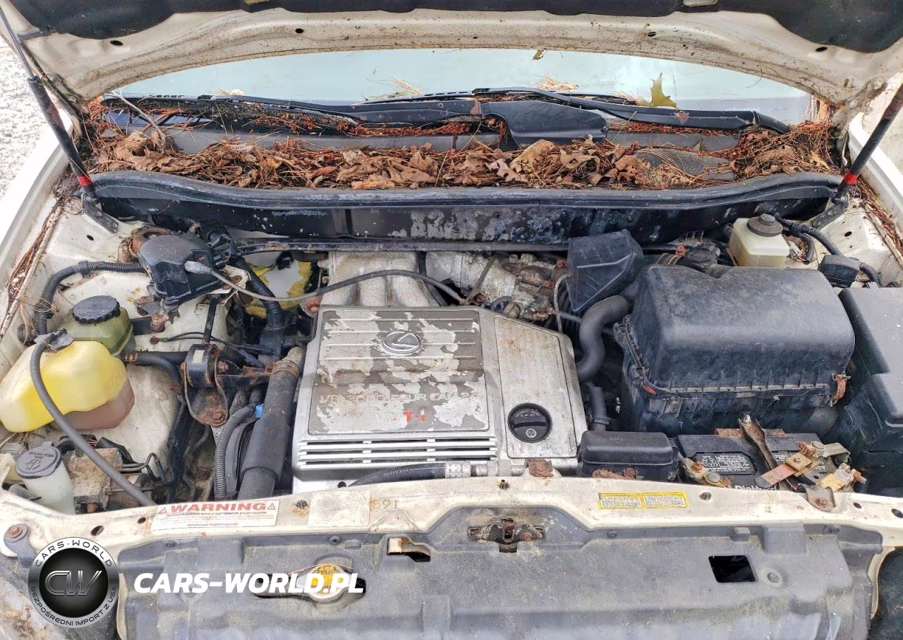 1999 Lexus Rx 300 VIN:JT6HF10U8X0060393 - 11