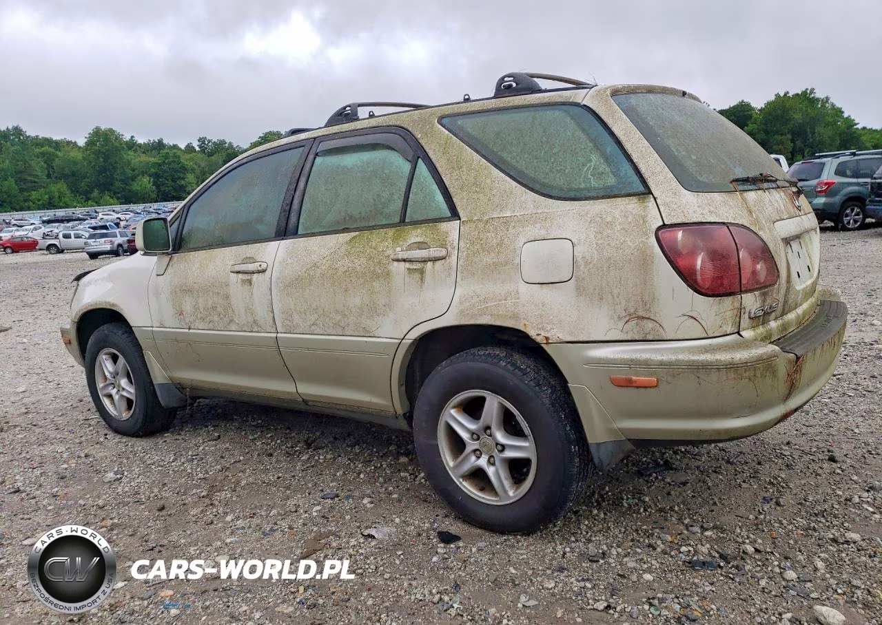 1999 Lexus Rx 300 VIN:JT6HF10U8X0060393 - 2