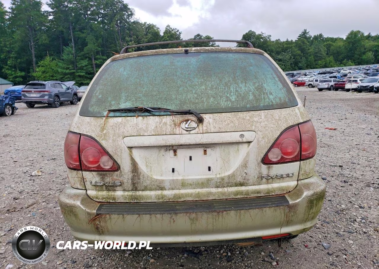 1999 Lexus Rx 300 VIN:JT6HF10U8X0060393 - 6