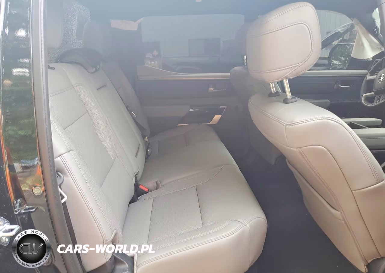 2025 Toyota Tundra Limited VIN:5TFWA5EC1SX045384 - 10