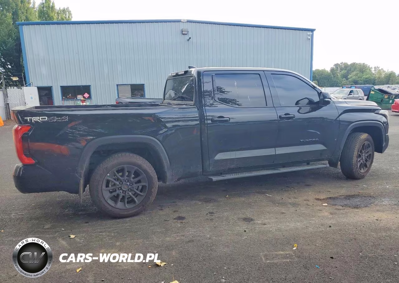 2025 Toyota Tundra Limited VIN:5TFWA5EC1SX045384 - 3